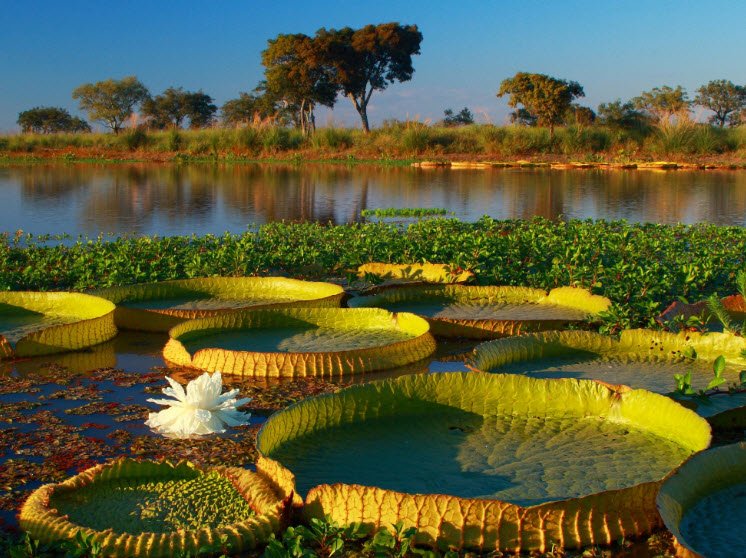 Administración de Parques Nacionales, Argentina